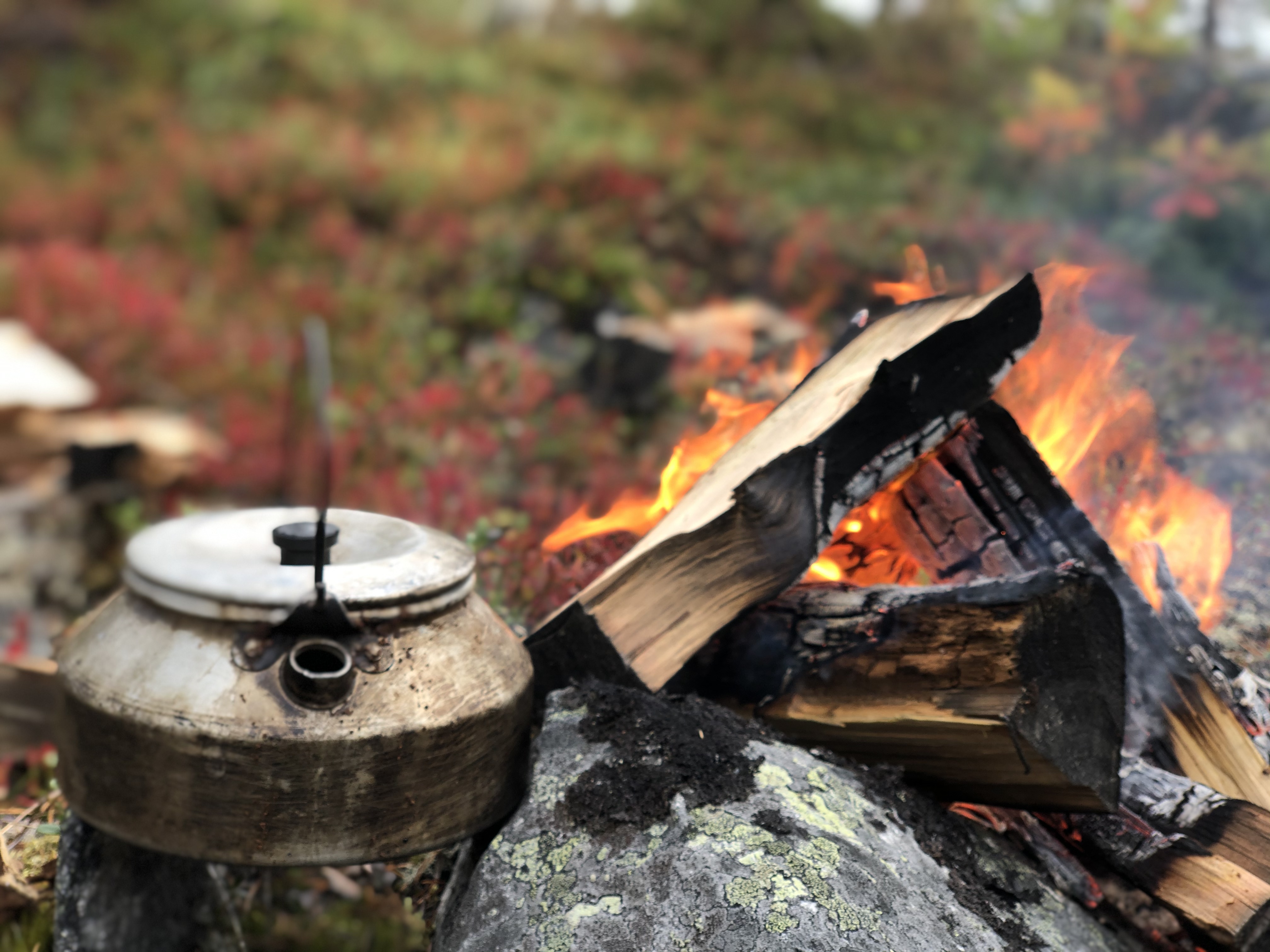 Campfire and coffee pot in the forest