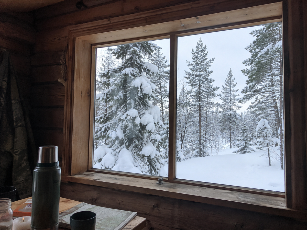 Snow-covered forest seen through a wilderness cabin window