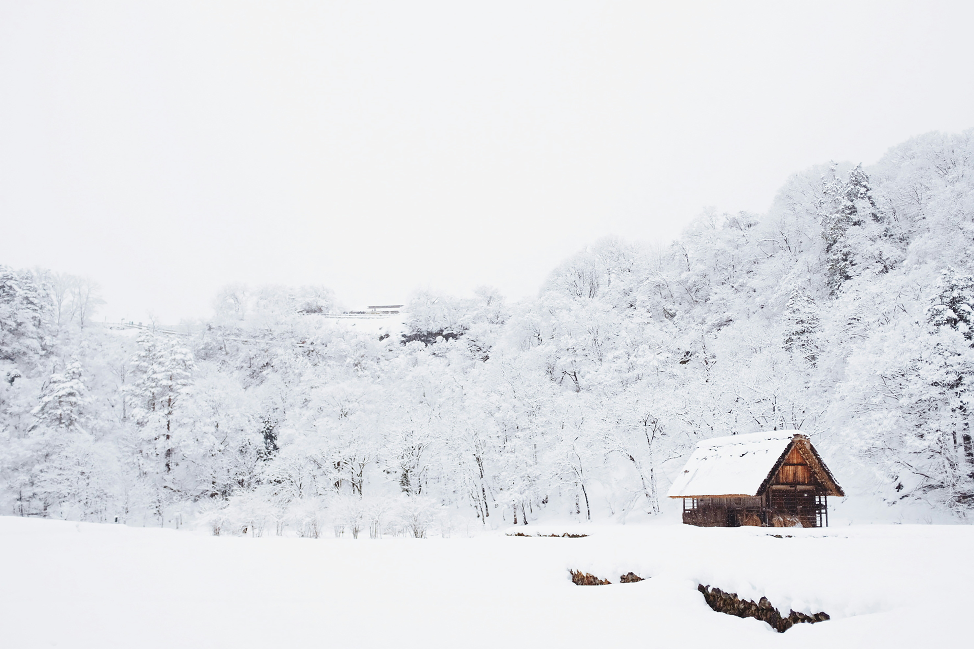 A cabin beside a snow-covered forest